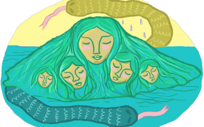 Sistematización taller institucionalidad ambiental y defensa territorial en Chiloé